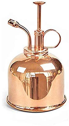 Arrosoir Eau Monsieur 300Ml Mini cuivre Plante Fleur arrosoir Pot Vaporisateur Bouteille Rose Rouge Vaporisateur Bouteille 1Pc GuShe