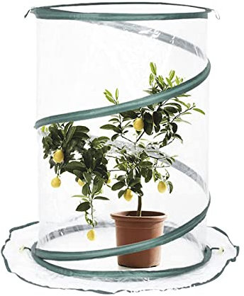 Generisch Pop-up-Gewächshaus, Mini-Gewächshaus, Balkon, Tomatengewächshaus, robuste Plane mit Reißverschluss, Winterzelt für Pflanzen (Transparent, 68 x 50 cm)