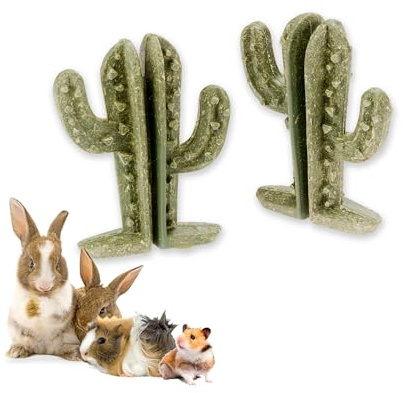 Ferplast Snack Naturale per Roditori, Criceti, Cavie e Conigli, Favorisce l’Igiene Dentale, Stimola il Gioco e offre Gusto e Benessere ogni giorno, a forma di Cactus