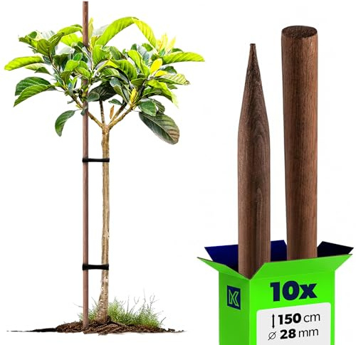 KADAX Tuteur en bois, bâtons de plantation imprégnés, bâton pour plantes grimpantes, tige résistante aux intempéries, bâton pour fleurs, treillis, piquets en bois, piquets (10, 28 mm x 150 cm)