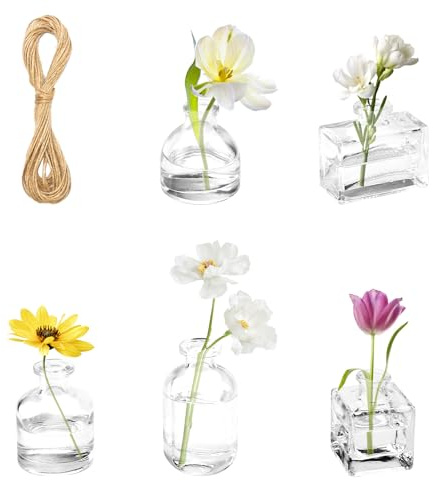 APOMOONS 5 Piezas Floreros de Cristal Pequeño Vasos de Cristal Jarrones Decorativos Jarron Flores para Juego Transparentes para Centro de Mesa en Casa Fiesta de Boda Decoración con Cuerda de Yute