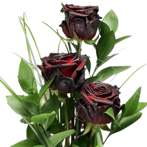3 schwarze Rosen - Rosenstrauß mit drei langstieligen Rosen, Ruskus und Gräsern - Inklusive gratis Vase und Grußkarte