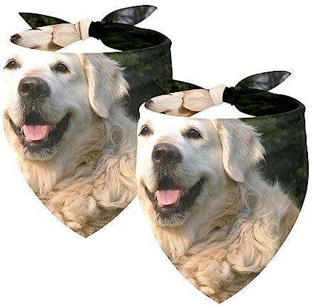 Hundehalstücher im 2er-Pack, dreieckiger Haustierschal, transparenter Chiffon-Stoff, Halstuch für kleine, mittelgroße und große Hunde und Katzen,Tierischer Golden Retriever