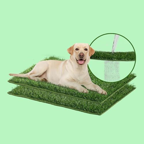 MEEXPAWS Hunde Grasmatte für Stubenreinheit, Extra Großes Super Saugfähiges & Geruchsfreies Kunstgras für Hunde, Kantenvernähte Hundetoilette für Welpentraining, 2 Stück Kunstrasen für Innen & Außen