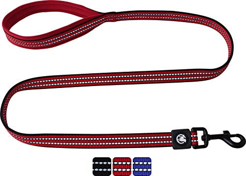 DDOXX Reflektierende Nylon Hundeleine - 120 cm, Training Führleine Hund mit gepolsterter Handschlaufe für alle Hundegrößen - L (Rot)