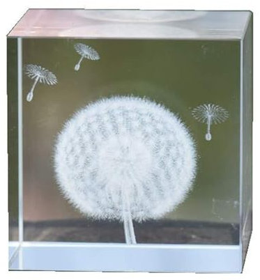 WlP In Kristall Eingraviertes Löwenzahn-Exemplar – Pflanzenharz-Exemplar Löwenzahn-Würfel-Kristall-Briefbeschwerer – 3D-Löwenzahn-Exemplar-Modell-Briefbeschwerer Taxidermie for Naturwissenschaftliche