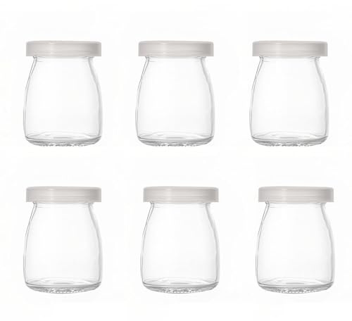 KOMUNJ Lot de 6 pots de 100 ml pour pudding et yaourt avec couvercle, petits verres avec couvercle, mini bouteilles en verre avec couvercle