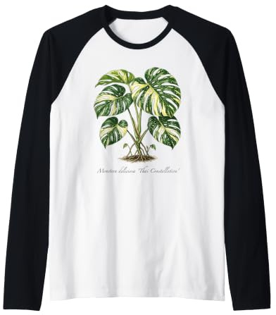 Monstera Thai Constellation Plant Illustration Raglan Baseball Tee