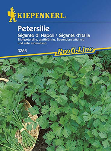 Kiepenkerl 3256 Petersilie Gigante d'Italia (Petersiliensamen)