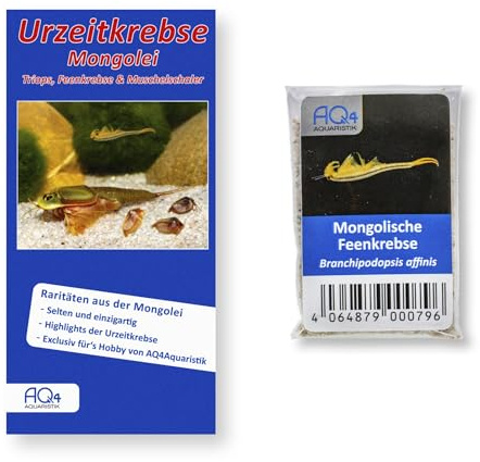 Mongolische Feenkrebse Branchipodopsis affinis Zuchtansatz, Urzeitkrebseier | Rarität Urzeitkrebs-Eier mit Anleitung, Fairy Shrimps, bis 30 mm groß; Für Schlupf, Aufzucht und Naturbeobachtung im Aquarium