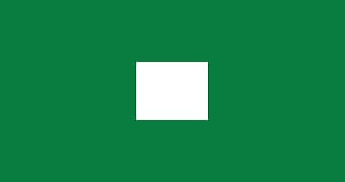 100 Book Colour Coding School Library Book Index Labels 72x38mm Primary Teaching Services (Green)