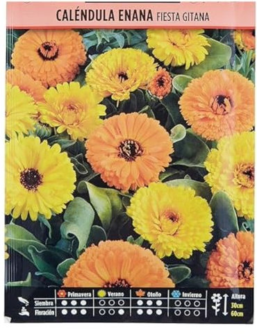 Calendula enana fiesta gitana variada - Semillas listas para plantar.