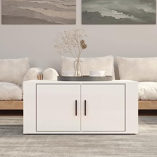 HaoChrymec Table Basse with Bois, Design Pratique, Grand Espace de Rangement, Table Basse Salon, Tables Basses Blanche, Coffre, pour Salon, Blanc Brillant, 80 x 50 x 36 cm