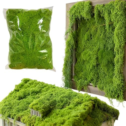 Muschio artificiale (300 g) - Realistico finto riempitivo per artigianato, terrari e fioriere, ideale per decorare le pareti della casa, Natale, matrimoni, vacanze, feste e acquario