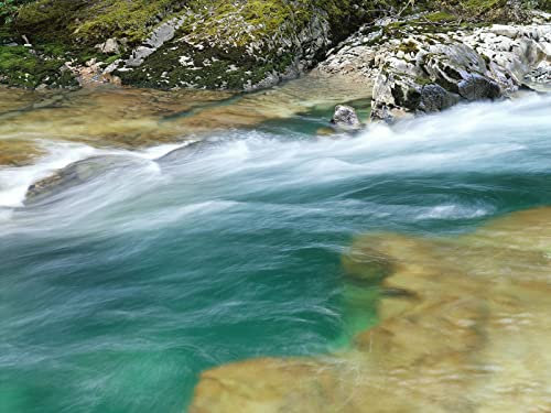 THISIT Dipinto su Tela per Adulti e Bambini DIY Dipinto ad Olio,Fiume,ruscello,corso,pietre,muschio,velocità-16x20 Pollici con cornice in legno