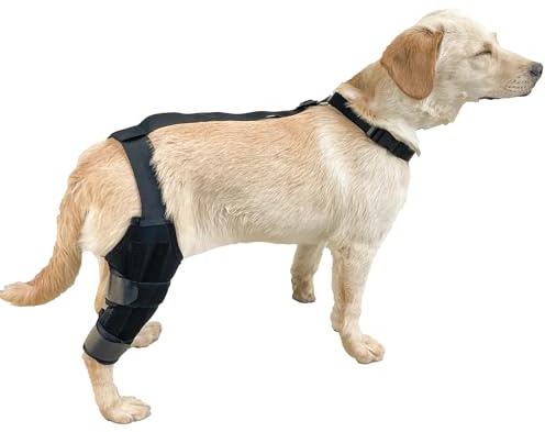 Hunde-Kniebandage für Rücken, Beine, Stützbandage für Hunde, verstellbare Haustier-Kniebandage mit verstellbarem Riemen zur Fixierung, Schwäche, Erholung, Verletzungen, Rehabilitation, Hüfte und