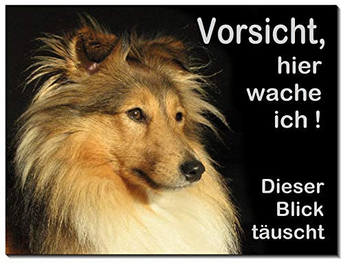 Collie-Schild-3 Größen-Aluminium Verbund-Hund-Tierschild-Hunde-Warnschild-Hinweisschild (1451-18 -300 x 200 x 2 mm mit Löcher)