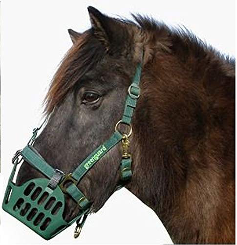 GREENGUARD® Set - Fressstopp Maulkorb mit Halfter, WB