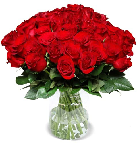 Blume Ideal Rosenstrauß - 40 Rosen - Rot - Ø 40–50 cm - Echte premium Blumen für Hochzeit & Deko - 7 Tage Frischegarantie - in verschiedenen Farben und Mengen