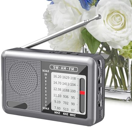 Genérico - Pequeña Radio Portátil Recargable | Radio Meteorológica Am/FM/SW con Recepción Completa de Banda y Diseño Robusto en Gris