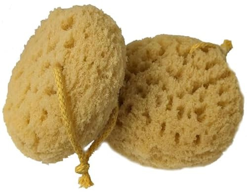 Exfoliating Foam Sea Sponge 5 Inch Natural Feel with Rope (Pack of 2)
