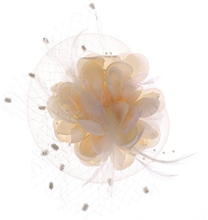 Fascinator Damen Hut Haarschmuck Blume Bankett Mesh Hut Feder Haarklammer Karneval Brautschleier Elegant Haarspangen Vintage Haarclip Hochzeit Haarreif Cocktail Party Kopfschmuck Tea Fasching Partyhut