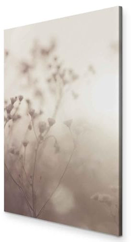 murando - Akustikbild Natur Bilder Akustikschaum Hochleistungsschallabsorber Schallschutz Leinwand 1 TLG Wandbild Wiese Blumen Pflanzen AST Sonnenaufgang b-B-0545-b-a