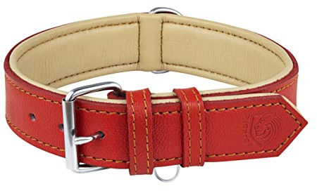 Riparo Echtes Leder Verstellbares Hundehalsband mit Zusätzlicher Verstärkung (L: 3,8CM Breit für 43,2CM - 53,3CM Hals, Rot)