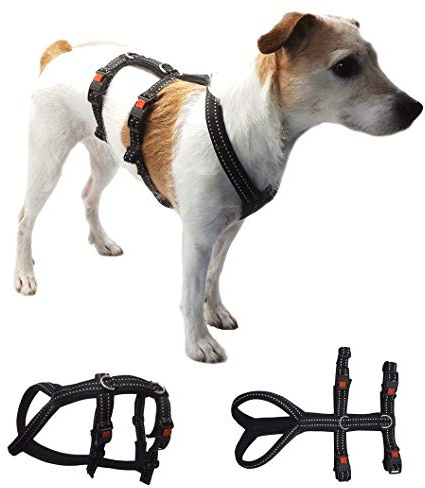 Sicherheitsgeschirr Alcatraz mit Neopren GEPOLSTERT + REFLEKTIEREND verstellbar für kleine und große Hunde Mini - L 6 Größen (XS)
