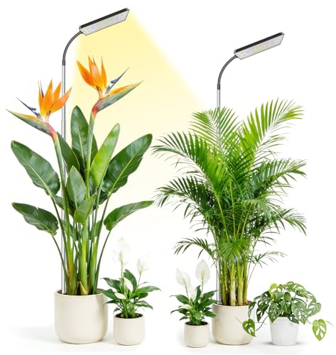 Eurbolan Plant Grow Lights Indoor, 153 LEDs 6000k Full Spectrum 2 Pack | 10''–65'' adjustable height with stake for house plants, 6/12/16H timer, 3 Light Modes, 5 brightness, Gooseneck Pole lamp