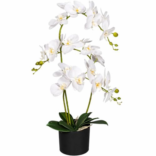 Leaf Design UK Realistic Artificial Orchid Flower Display in Pot, 65cm