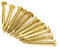 100Pcs Brass Nails, Brass Rosette Nails Rosette Pins Round Head Brass Brad Nail for Wood, for Hanging Picture Frame Mirrors Furniture Hinge Hardware Accessories (15mm Long)