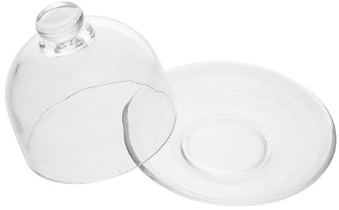 POPETPOP Plateau De Service Transparent Avec Couvercle Petite Assiette Verre Pour Salade Fruits Secs Collations Thé Apéritifs