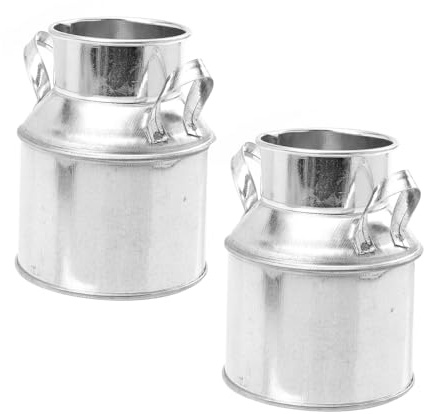 Gatuida 2 Piezas Maceteros de Hierro Galvanizado Vintage de Cubos Decorativos para Interior y Jardín Macetas Pequeñas para Plantas y Flores Resistentes y Versátiles para Balcones y Patios