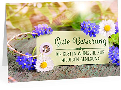 Große Grußkarte XXL (A4) Gute Besserung/Lichtung im Wald, Lichtblick/mit Umschlag/Edle Design Klappkarte/Krank/Gesundheit/im Krankenhaus/Extra Groß/Edle Maxi Genesungskarte