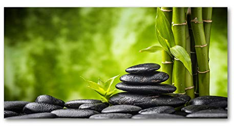 Tulup Glas-Bild Wandbild aus Glas - Wandkunst - Wandbild hinter gehärtetem Sicherheitsglas - Dekorative Wand für Küche & Wohnzimmer 100x50 - Blumen & Pflanzen - Zen Steine - Grün