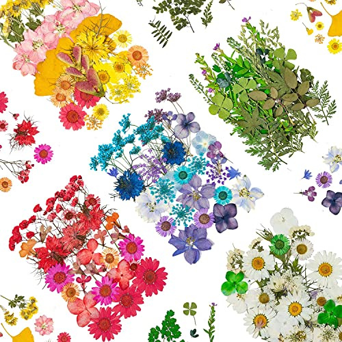 Dried Pressed Flowers, 170+ Pcs Mixed Dried Flowers for Resin, Bulk Natural Dry Floral Resin Fillers Decoration Accessories for DIY Crafts, Scrapbooking