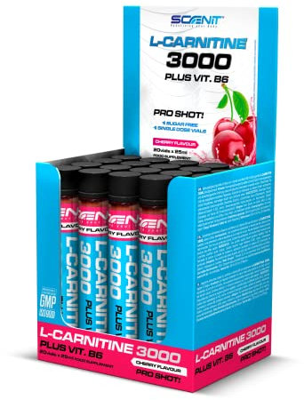 L Carnitin Liquid - L Carnitin 3000 - L Carnitin Ampullen - L-Carnitin Liquid - L-Carnitin Hochdosiert - L Karnitin 3000 mg (20 Einheiten à 25 ml) (Kirsche)