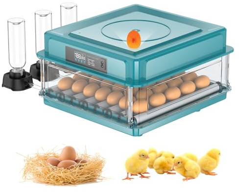 Brutautomat Vollautomatisch,Inkubator für 10-36 Eier mit Automatischem Wenden der Eier und Automatischer Befeuchtung,Brutkasten mit Feuchtigkeitsanzeige für Hühner,Enten,Gänse und Wachteln (36 Eier)