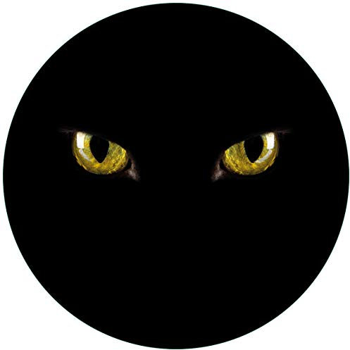 Wallario Glasbild rund Gelbe Katzenaugen bei Nacht - Rund, 50 cm Durchmesser Wandbild Glas in Premium-Qualität: Brillante Farben, freischwebende Optik
