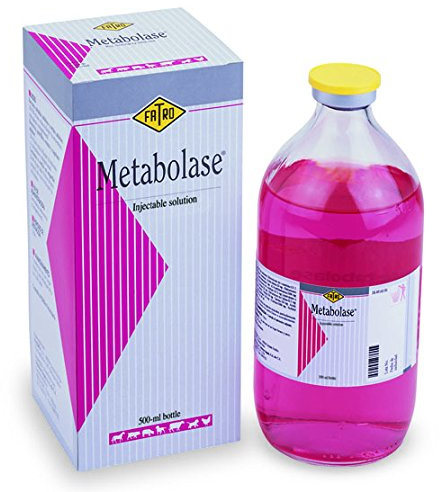 METABOLASE 500 ml - Ricostitunente a base di vitamina B e amminoacidi, disintossicante, defaticante, convalescenza per tutti gli animali