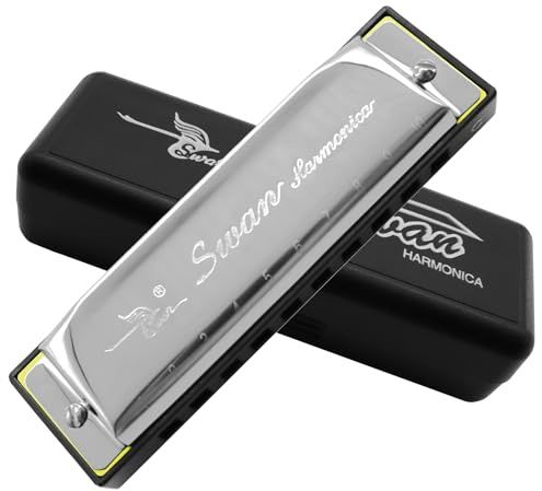 Mundharmonika C Dur 10 Loch Blues Harp Diatonische Harmonika Harmonica für Erwachsene Kind Kinder Student Lehren Anfänger Geschenk