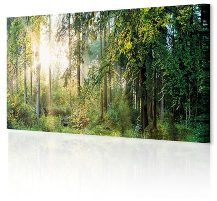 decomonkey Wandbilder Wald 120x40 cm 1 Teilig Leinwandbilder Kunstdruck | Strukturleinwand, Holzkeilrahmen, Bild auf Leinwand, Wanddeko, Wohnzimmer, Wanddekoration, Natur, Landschaft