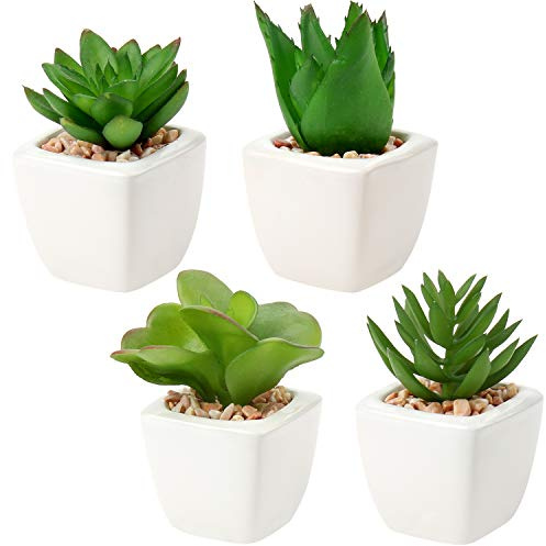 Briful 4PCS Kunstpflanze Künstliche Sukkulente Mini Zimmerpflanze im Keramiktopf Deko Badzimmer Tischdeko Haus Balkon Büro, 4er Set