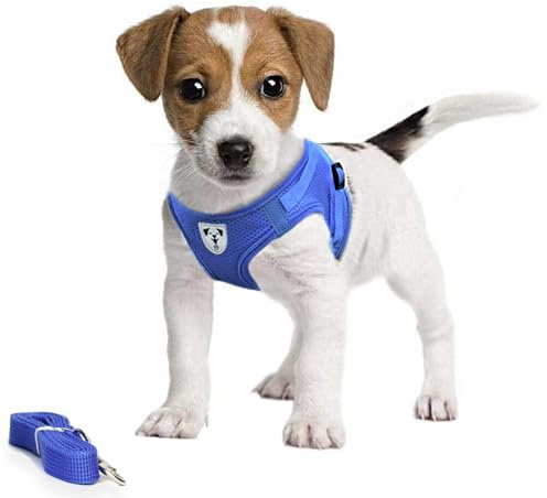 Pet's Playground Small Dog Harness | Dog Harness Small Dog | Puppy Dog Harness | Dog Harness For Puppies | Dog Harness For Small Dogs | Harness for Small Dogs UK | Extra Small Dog Harness | Blue | XS