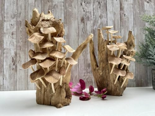MAISONICA Large 30cm Wavy Cup Mushrooms on Root Wooden Sculpture Ornament - Hand Crafted on Teak Root - Gift