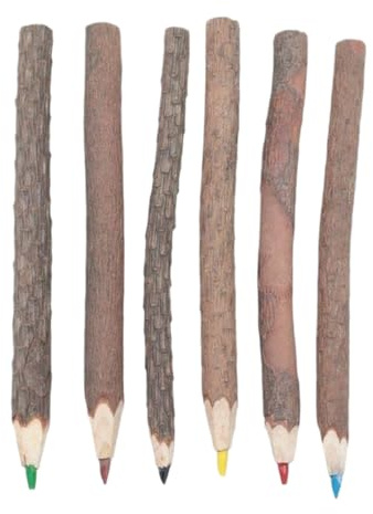 Holzstifte, langer Zweigbleistift, natürliche Mal- und Zeichenwerkzeuge, 6 Stück, Vintage-Holzstifte für Veranstaltungen, Klassenzimmer, Schulfeiern, Schreiben, Arbeitsplatz,