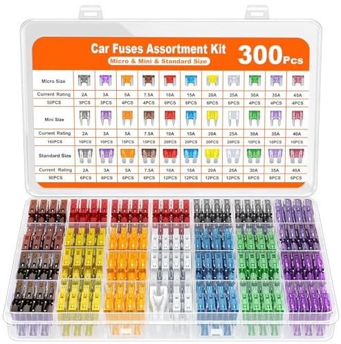 Kit 300 Pezzi Fusibili Auto, Fusibili Mini, Micro E Standard 2A 3A 5A 7,5A 10A 15A 20A 25A 30A 35A 40A Con Scatola Per Auto, Moto, Camion E Camper