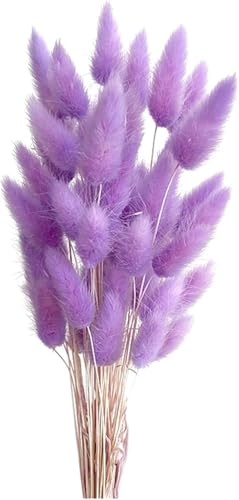 Natürliche Trockenblumen Pampasgras Deko 50PCS Elegantes Pampasgras Klein Trockenblumenstrauß Pampas Gras Getrocknete Blumen Hasenschwanzgras für Vase Büro Wohnzimmer Hochzeit Tischdeko (Violett)