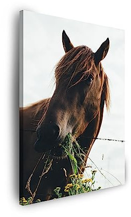 GP TONER Wandbilder Heimdekorationen LeinwandbildLeinwanddruck Tiere Pferd 30x40 cm Modern Kunstdruck Leinwandbilder für Ihr Zuhause oder Büro